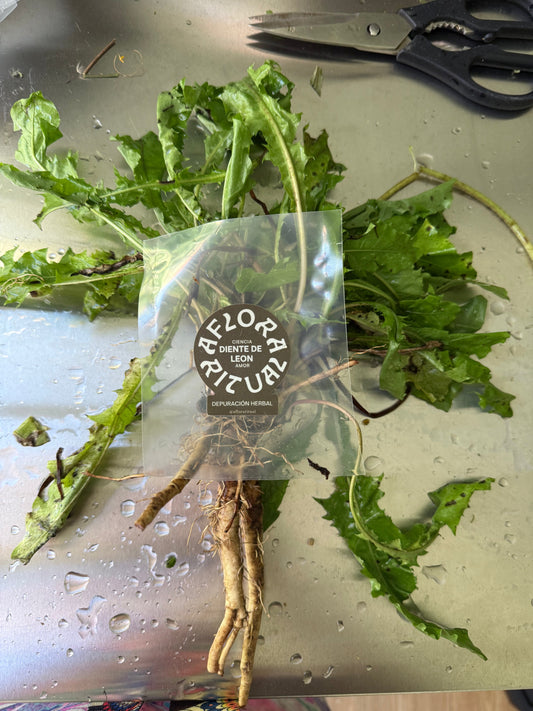 Detox herbal: entrenar la decisión desde el cuerpo