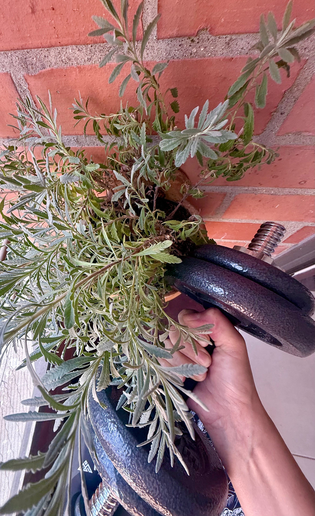 Cuando la ciencia confirma lo que el cuerpo ya sabía