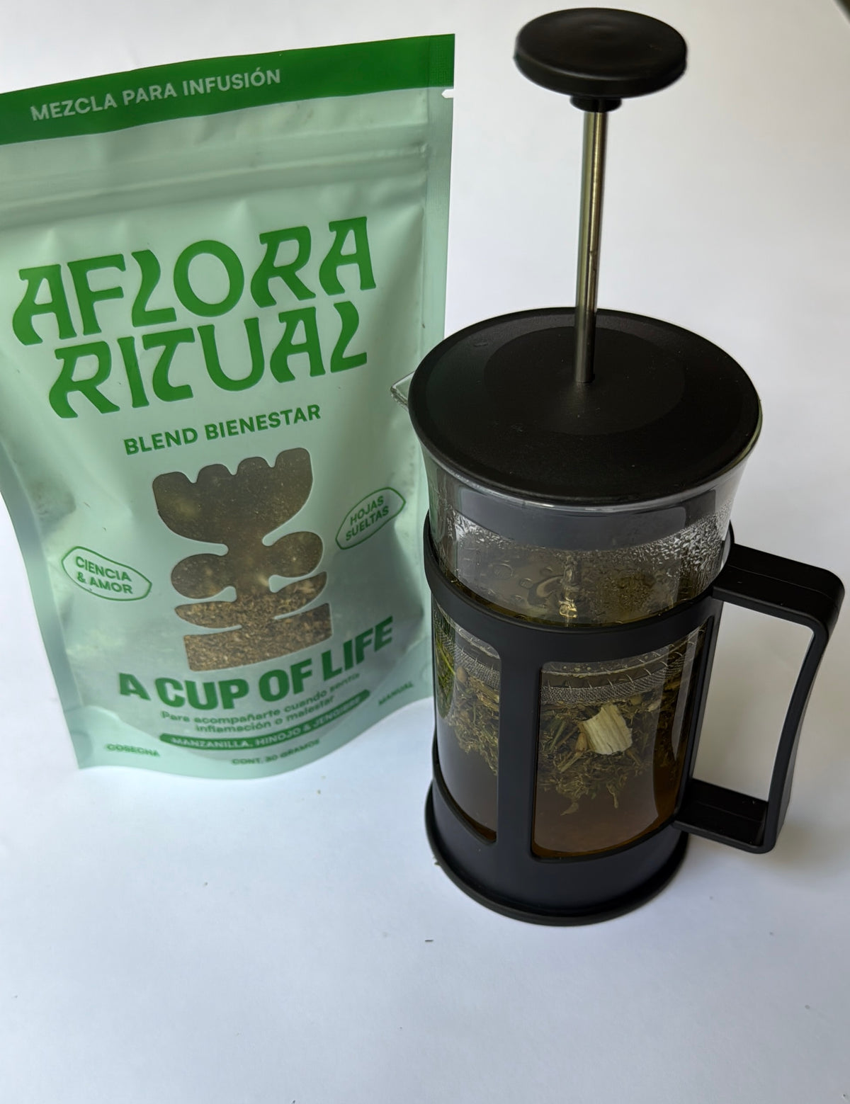 Kit Prensa Francesa + Blend a elección