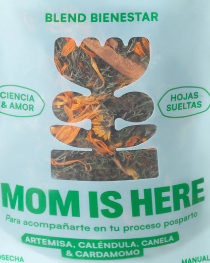 Mom is Here