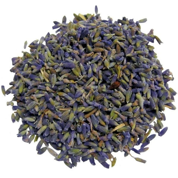 Lavanda - Lavandula angustifolia