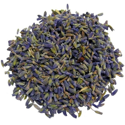 Lavanda - Lavandula angustifolia